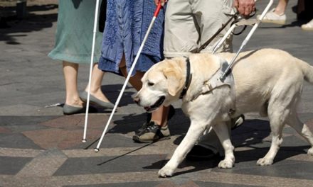 How Guide Dogs Empower the Blind and Visually Impaired